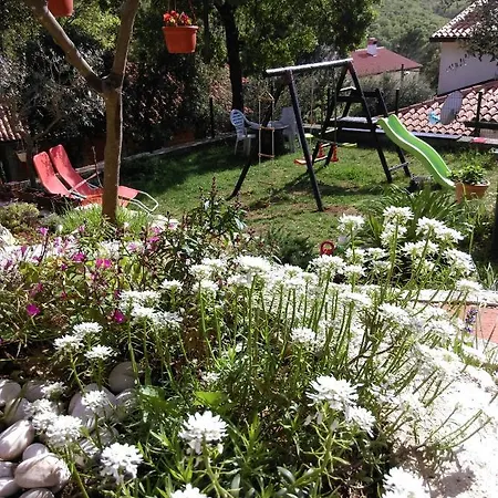 Radovic Labin (Istria)