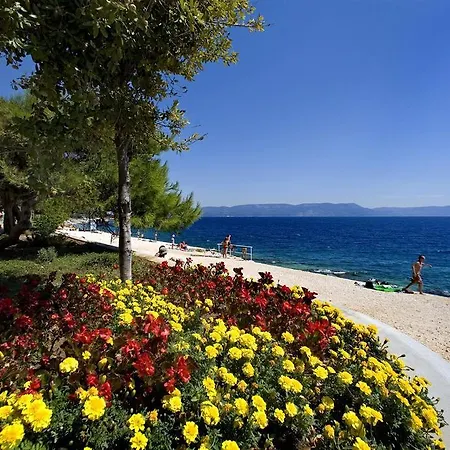 Radovic Apartment